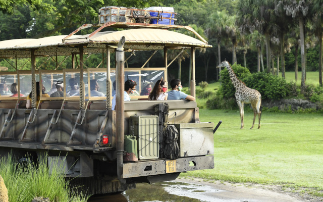 Disney's Animal Kingdom Villas - Jambo House