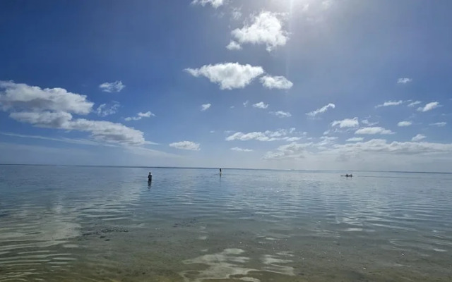 Moorea - Tropical Nest
