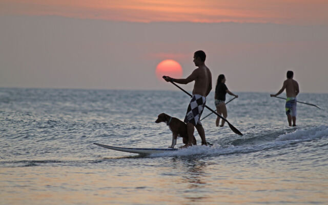 Hostel Jericoacoara