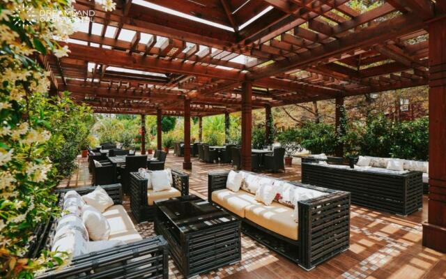 Dreamland Oasis