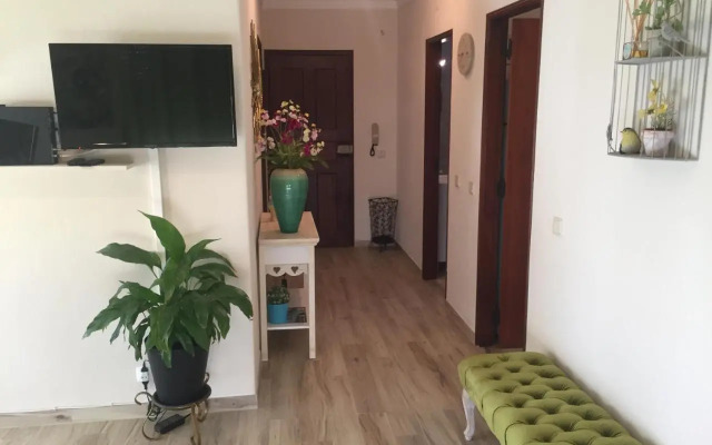 Green house - Sea view