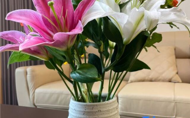 The yard under the mountain