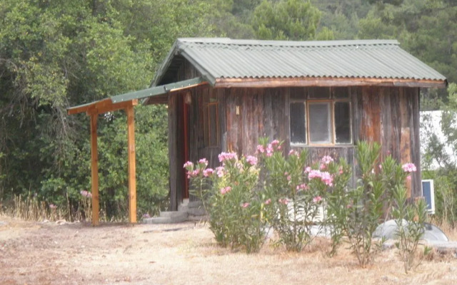 Olympos Woods - Adults Only
