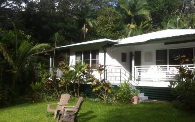 The Jungle Farmhouse