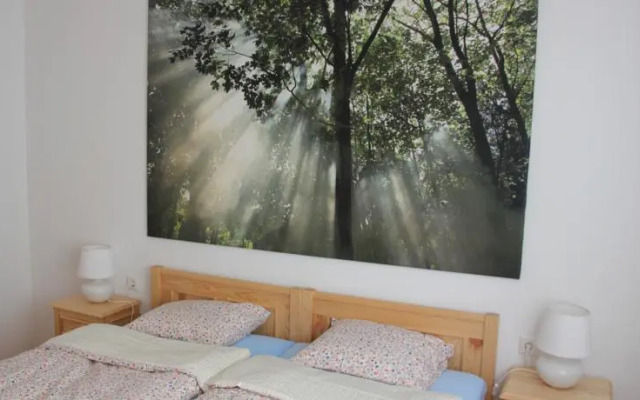 Fieberbrunn Apartment