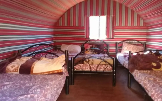 Wildlife Camp