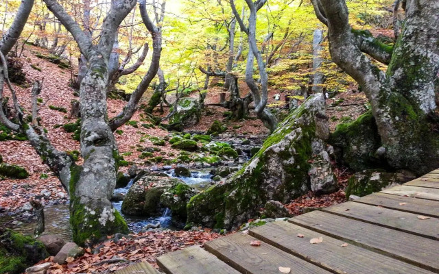 El Molino de la Ropería