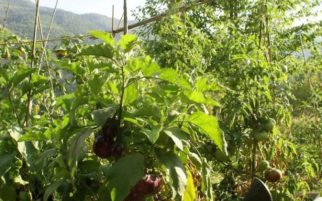 La Chapelle Saint Gervais