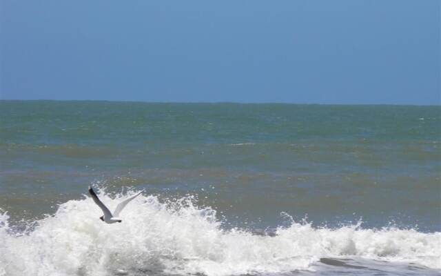 Hotel Gran International