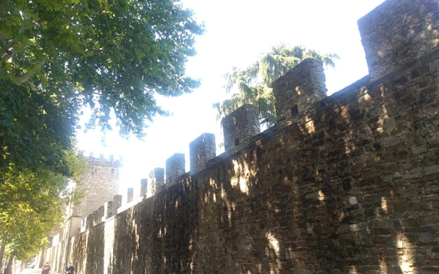 Movie Star Apartment with garden