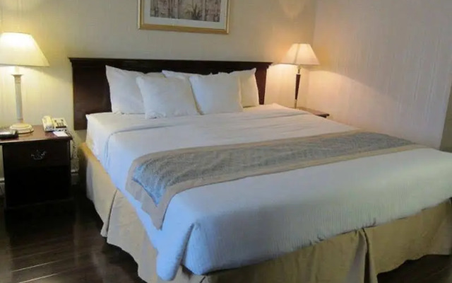 Toronto Plaza Hotel