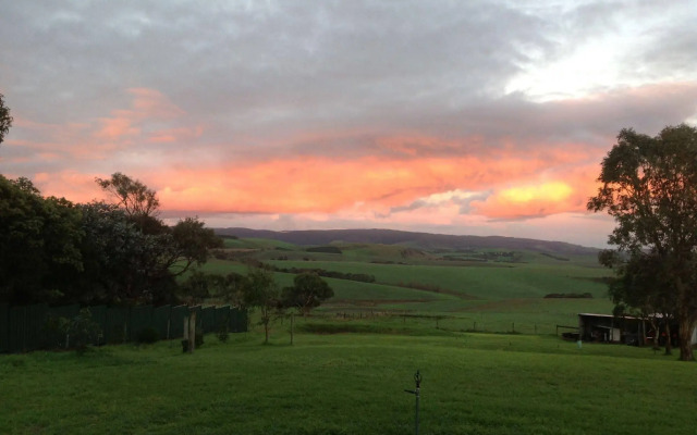 Lush Pastures