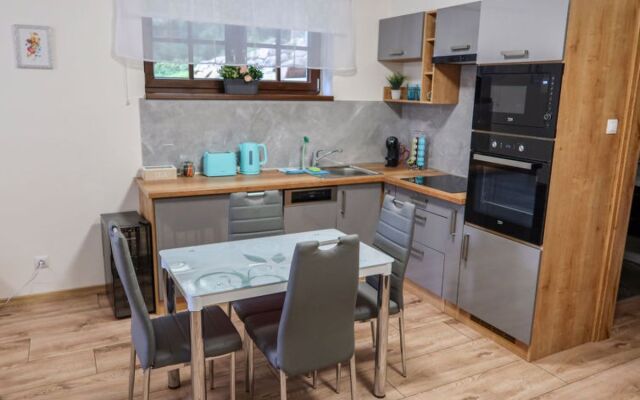 Apartment  Harrachov