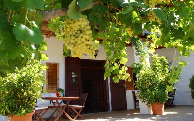 Agroturismo Sa Vinya d'en Palerm