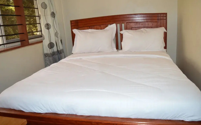 Kilimanjaro Magic Site