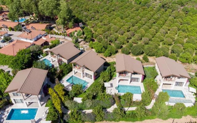 Volans Suites