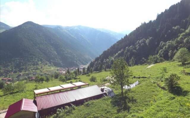 Ozturk Apart