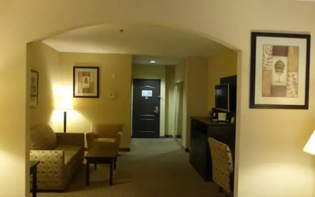 Comfort Inn & Suites Downtown