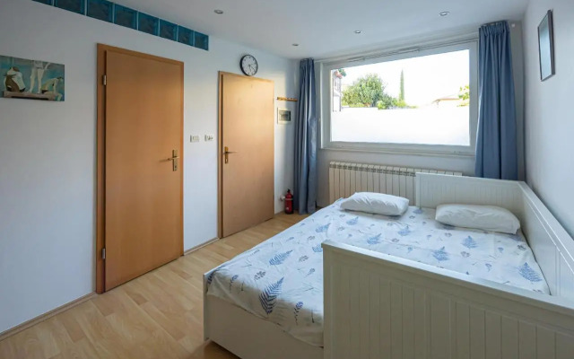 Apartment Bivalvia