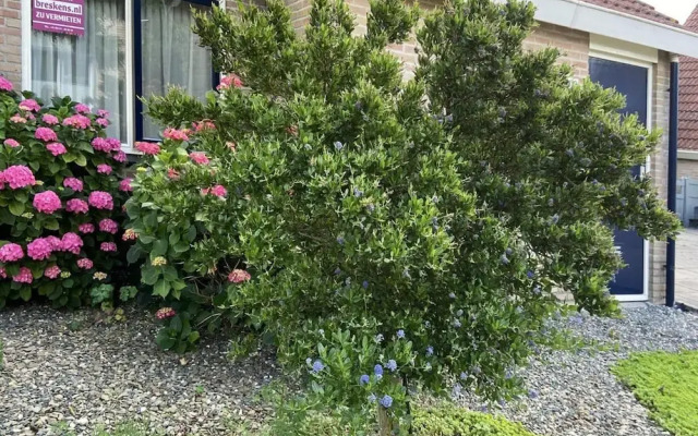 Pet-friendly Coastal Getaway