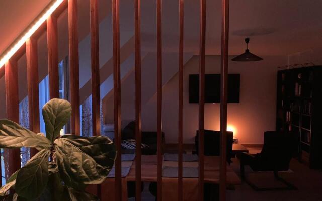 Comfy flat 7 min away from Disney