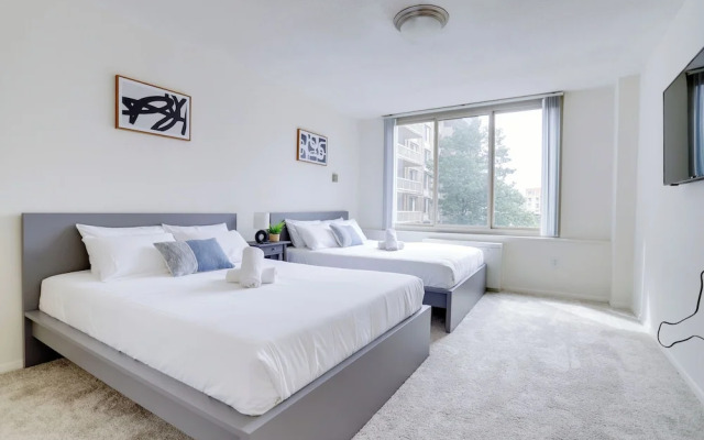 Comfortable Apt in Crystal City