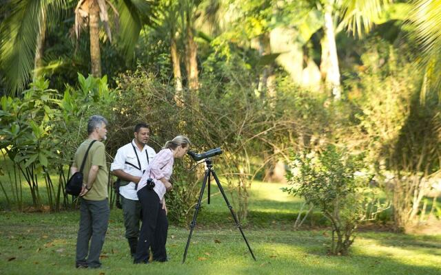 Bosque del Cabo Rainforest Lodge