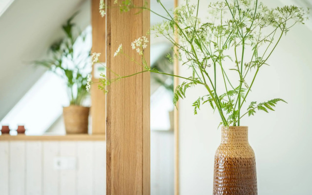 Wijngaard De Kroon Van Texel