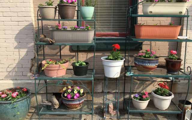 Main Street Bed & Breakfast
