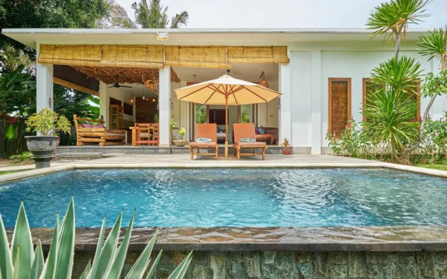 Pazzo Bali