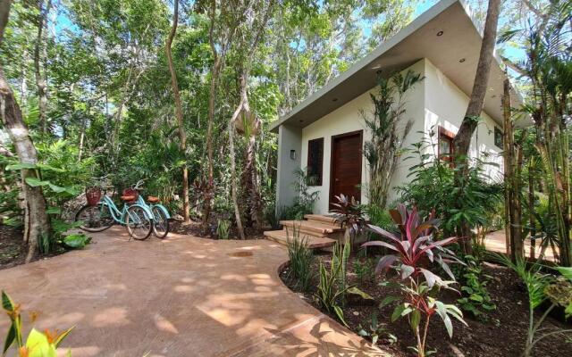 Secret Gardens Bacalar Suite 01 con alberca y bicicletas
