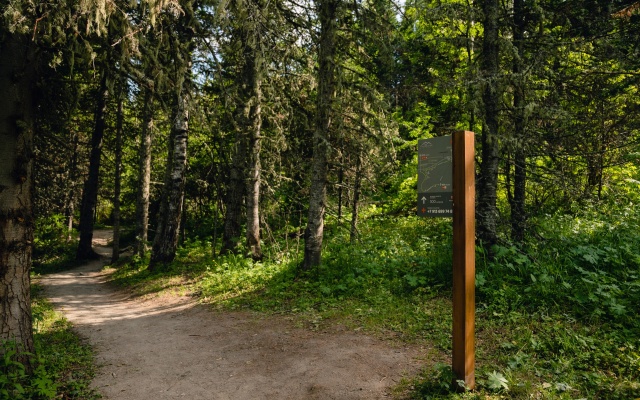 Manzherok