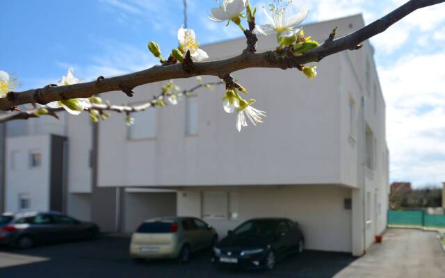 Luxury Apartment Mio