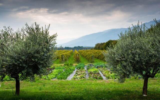 Agriturismo Al Luogo del Giulio