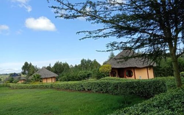 The Great Circle Lodge - Hostel