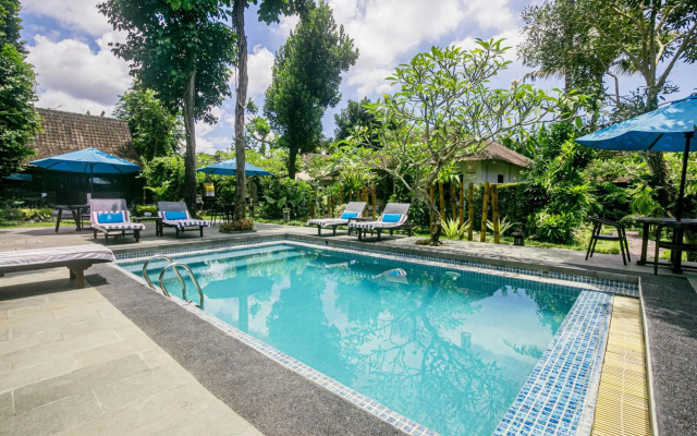 Canvas Escape Resort