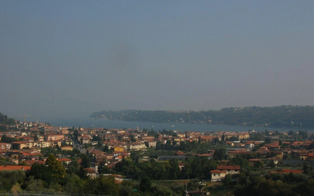 Olivi