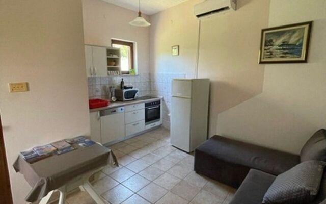 Apartment Ivan Njivice