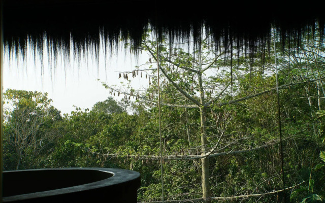 Samboja Lodge