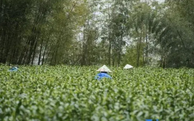 Jiushe Hostel
