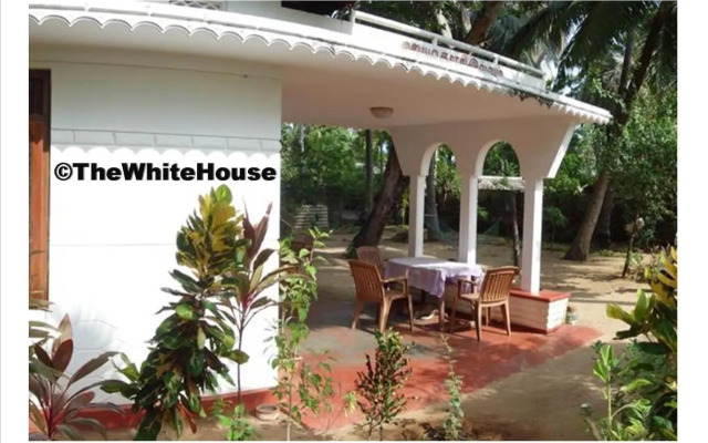 The White House