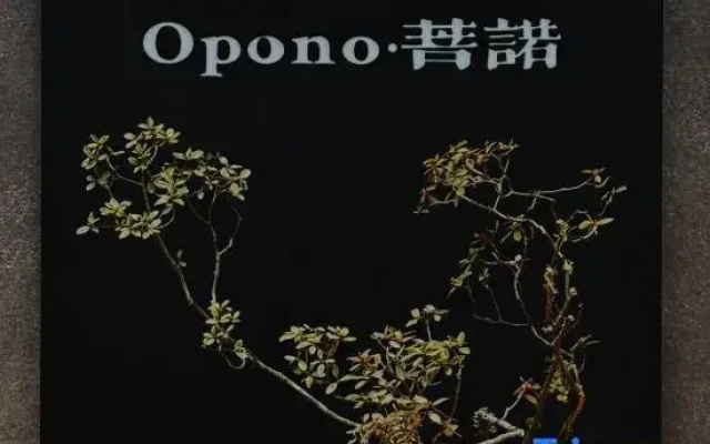 Opono • Puno Wabi-Sabi Snow Mountain Scenic Homestay (Shuhe Old Town)
