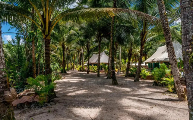 Canvas and Orchids Retreat