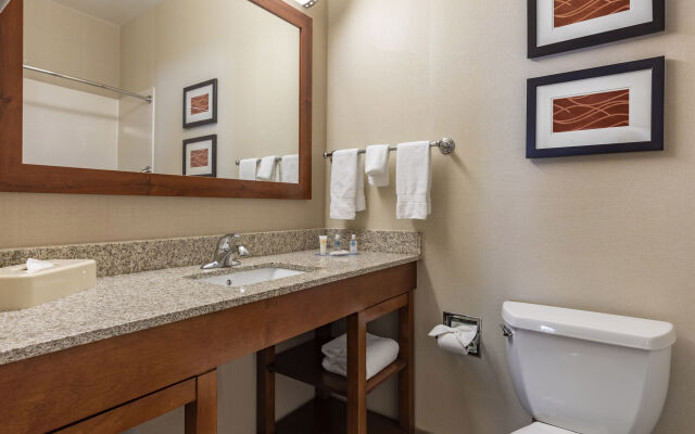 Comfort Suites La Porte