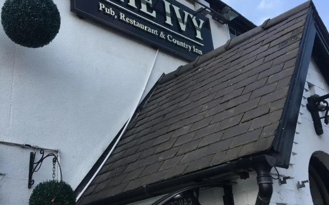 The Ivy