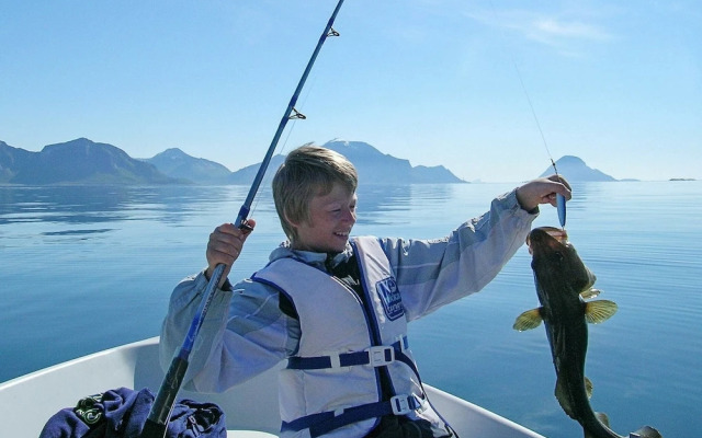 Holiday Home in Ballstad