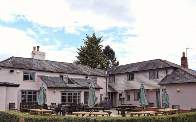 The Chilterns Fox