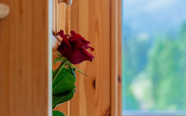 Rosablanche B72 Nendaz