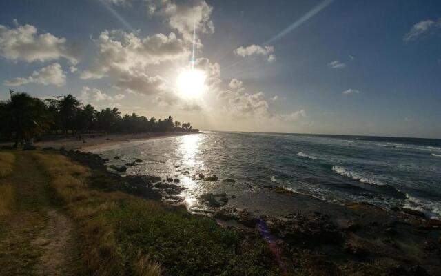 Les Algues de la Chapelle