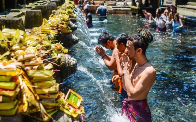 Backpacker Ubud Room's